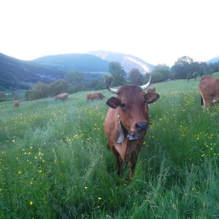 La Buissonniere Le Noyer (Savoie)